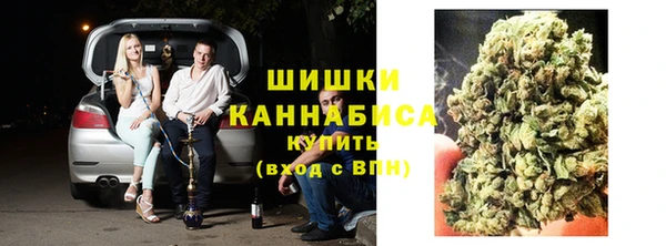 прущие крисы Арсеньев