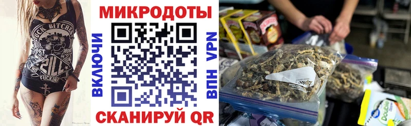 цена наркотик  Кондрово  MEGA рабочий сайт  Псилоцибиновые грибы GOLDEN TEACHER 
